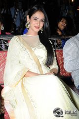 Sonal Chauhan at Legend Movie Success Meet